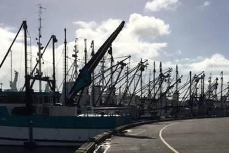 Port Lincoln Shark Apartment 1 Εξωτερικό φωτογραφία
